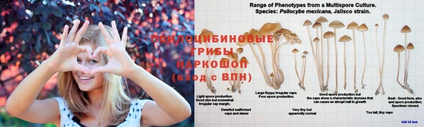 mix Балахна