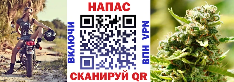 МАРИХУАНА гибрид Сегежа